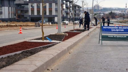 Büyükşehir’den Kuru Peyzaj Çalışması