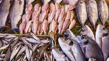 Araştırma Sonuçları Korkuttu: Deniz Canlılarının %99’unda Mikroplastik Bulundu!