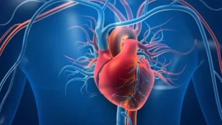 Kalp kapak hastalıkları erken teşhis edilmezse felç riski artıyor