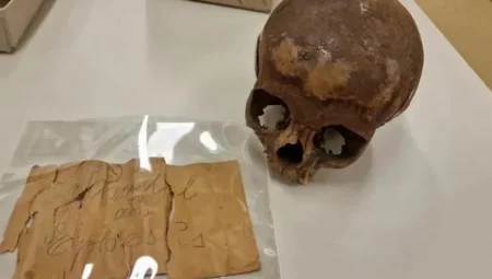 Kleopatra’nın Kardeşi Sanılan Kafatası, Genç Bir Erkek Çocuğa Ait Çıktı