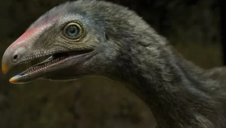 Brezilya’da Bulunan 3.500 Yıllık Fosiller, Dev Yaratıkların Beklenenden Daha Uzun Süre Yaşadığını Gösteriyor