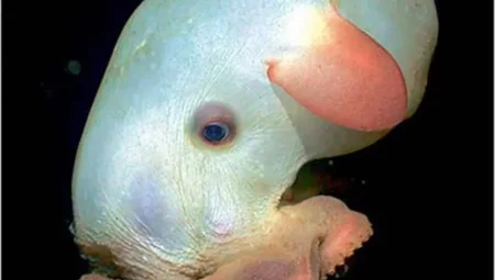 Yabancı Gezegenlerdeki Okyanuslarda Bulunan Tuhaf Buz Türü Nihayet Keşfedildi