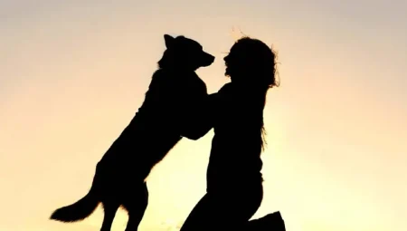 12.000 Yıl Önce İnsan ve Köpek Arasındaki Arkadaşlık Başladı