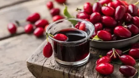 Bağışıklığı Güçlendiren Kızılcık Tarhanası: Hastalıklara Karşı Doğal Koruma