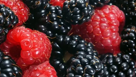 Rüyada Ahududu Görmek Ne Anlama Gelir? İslam’a Göre Yorumları ve Detaylı Açıklamalar