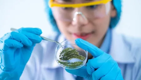 Biyoteknolojide Devrim: Genetik Tedavilerle Tedavi Edilemeyen Hastalıklar Mümkün Oluyor