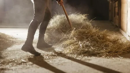 Rüyada Ahır Görmek: Maddi Kazançtan Huzura, İslami ve Psikolojik Yorumlar