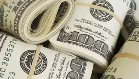 Yurt İçi Yerleşiklerin Döviz Mevduatları 4,3 Milyar Dolar Arttı