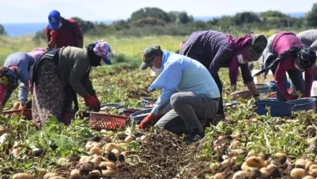 Tarımda Türkiye Yüzyılı Zirvesi başladı: Gıda güvenliği ve yerli üretim gündemde