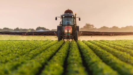 Türkiye’de Tarımın Geleceği: İklim Değişikliği ve Yeni Teknolojiler Öne Çıkıyor