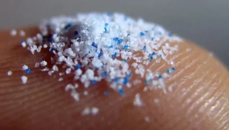 Denizlerde Mikroplastik Tehlikesi Büyüyor: Ekosistem ve Balıkçılık Risk Altında