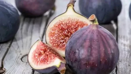 İncir ve Arılar Arasındaki Hayati Bağ: Her Yediğimiz İncirde Bir Arı Ölüyor!