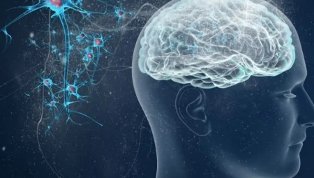 Bilim İnsanları Uyarıyor: Ayna Yaşam Formları İnsanlar İçin Ölümcül ve Çevreyi Yok Edebilir!