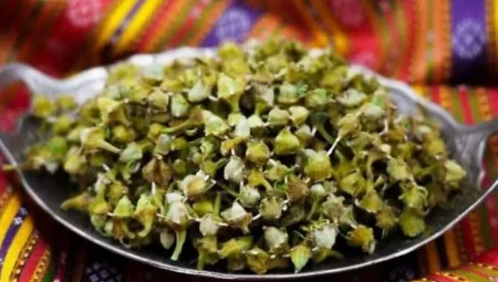 Amasya’da çiçek bamyası rekor kırdı: Kilosu 3.500 TL’ye ulaştı