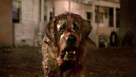 Netflix, Stephen King’in ‘Cujo’ Romanını Yeniden Uyarlıyor