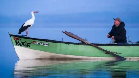 Yaren leyleğin dönüşü heyecan yarattı! Köye ziyaretçi akını
