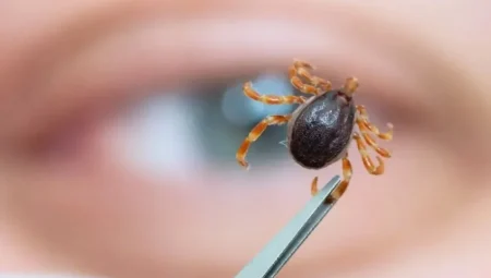 Kenelerin Tercih Ettiği Kan Grubu Açıklandı: Dikkat! Bu Kana Sahip Olanlar Risk Altında