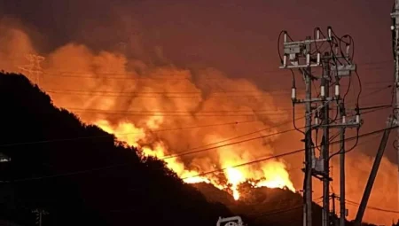 Güney Kore’de 27 bin kişi tahliye edildi, tarihi yapılar kül oldu: Orman yangınlarında ölü sayısı artıyor