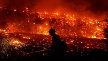 Orman Yangınları 2025’e Erken Başladı: Uzmanlar İklim Krizine Dikkat Çekiyor