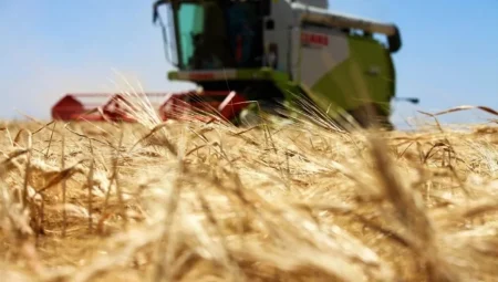 Kuraklık alarmı büyüyor: Konya Ovası’nda hububat rekoltesi yüzde 35 düştü