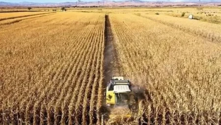 Tarımsal ihracat ilk 3 ayda rekor kırdı: En çok satılan ürünler belli oldu