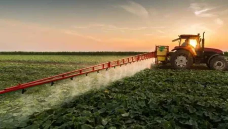 Organik tarıma dönüş artıyor: 2025’te 1 milyon dönüm daha organik üretime geçti