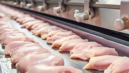 Az pişmiş tavuk etinde gizlenen tehlike: Salmonella bakteri salgını artıyor