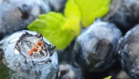 Beslenme uzmanı Amati’den ‘günde 5 besin’ uyarısı: Mikrobiyomu güçlendiren formül ortaya çıktı