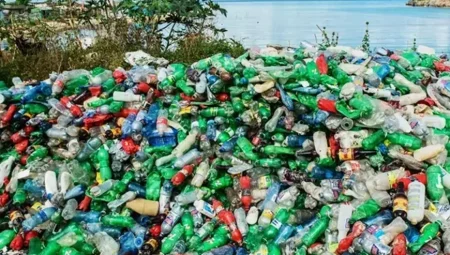 Avrupa’da Geri Dönüşüm Devrimi: 2030’dan İtibaren Tek Kullanımlık Ambalajlar Yasaklanıyor