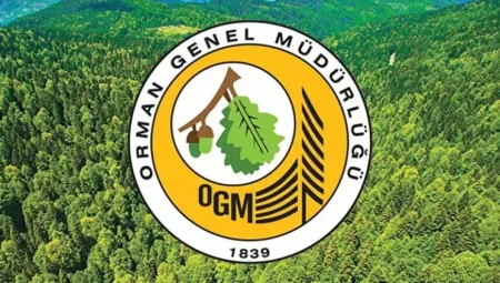 2025 Yazında Orman Yangınlarına Karşı Rekor Hazırlık: OGM’den 25 Bin Personelli Seferberlik