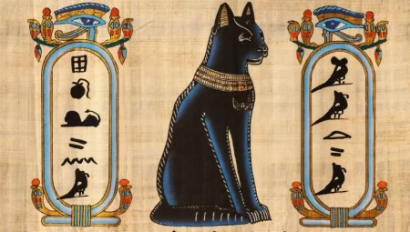 Antik Mısırlılar ev kedisi öldüğünde kaşlarını tıraş ediyordu
