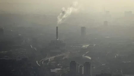 Hava Kirliliği Akciğer Kanseri Riskini Yüzde 50’ye Kadar Artırıyor