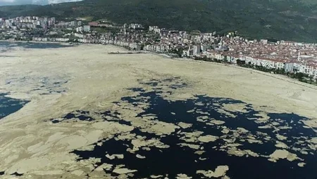 Karadeniz kıyılarında deniz salyası yeniden ortaya çıktı: Bilim insanları uyarıyor