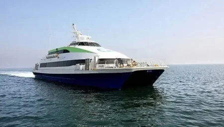 BUDO’nun İstanbul-Bursa ve Armutlu hattındaki 8 seferi fırtına nedeniyle iptal edildi