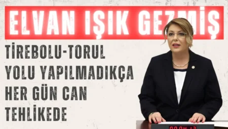 CHP’li Elvan Işık Gezmiş: ‘Tirebolu-Torul yolu yapılmadıkça her gün can tehlikede’