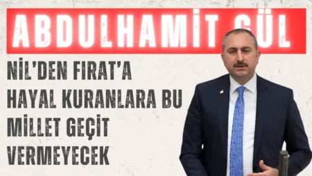AK Parti Grup Başkanvekili Abdulhamit Gül: ‘Nil’den Fırat’a hayal kuranlara bu millet geçit vermeyecek’