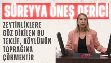 CHP’li Süreyya Öneş Derici: ‘Zeytinliklere göz dikilen bu teklif, köylünün toprağına çökmektir’