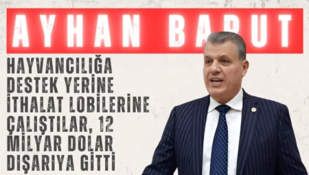 CHP’li Ayhan Barut: “Hayvancılığa destek yerine ithalat lobilerine çalıştılar, 12 milyar dolar dışarıya gitti”