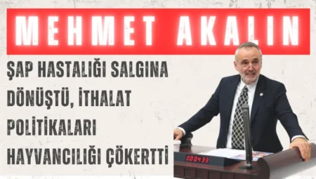 İYİ Parti’li Mehmet Akalın: “Şap hastalığı salgına dönüştü, ithalat politikaları hayvancılığı çökertti”