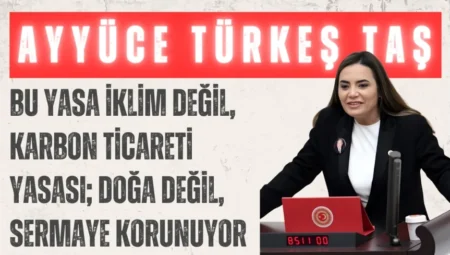 İYİ Parti’li Ayyüce Türkeş Taş: “Bu yasa iklim değil, karbon ticareti yasası; doğa değil, sermaye korunuyor”