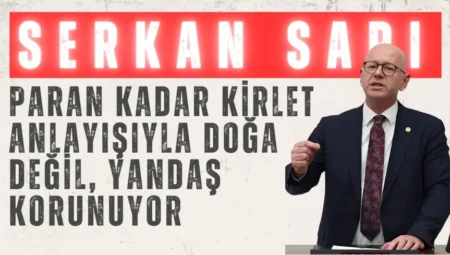 CHP’li Serkan Sarı: “Paran kadar kirlet anlayışıyla doğa değil, yandaş korunuyor”