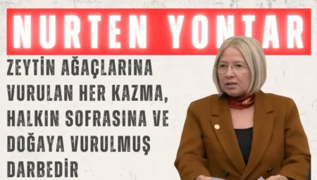 CHP’li Nurten Yontar: “Zeytin ağaçlarına vurulan her kazma, halkın sofrasına ve doğaya vurulmuş darbedir”