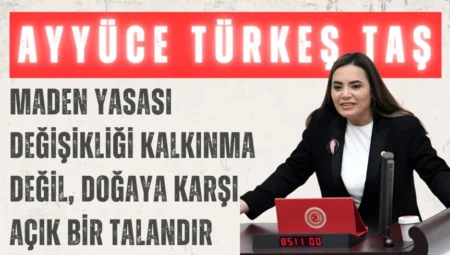 İYİ Parti’li Ayyüce Türkeş Taş: “Maden Yasası değişikliği kalkınma değil, doğaya karşı açık bir talandır”