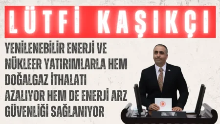 MHP’li Lütfi Kaşıkçı: “Yenilenebilir enerji ve nükleer yatırımlarla hem doğalgaz ithalatı azalıyor hem de enerji arz güvenliği sağlanıyor”