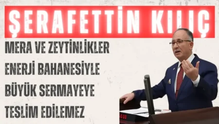 Saadet Partili Şerafettin Kılıç: “Mera ve zeytinlikler enerji bahanesiyle büyük sermayeye teslim edilemez”