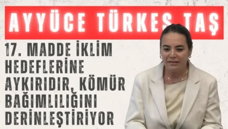 Ayyüce Türkeş Taş: “17. madde iklim hedeflerine aykırıdır, kömür bağımlılığını derinleştiriyor”