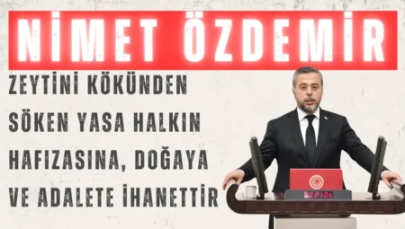 CHP’li Nimet Özdemir: “Zeytini kökünden söken yasa halkın hafızasına, doğaya ve adalete ihanettir”