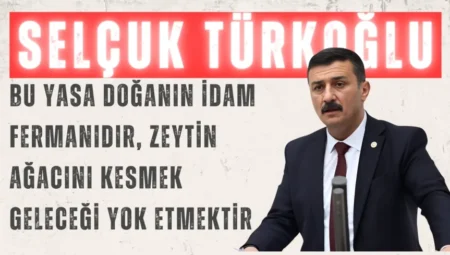 İYİ Partili Selçuk Türkoğlu: “Bu yasa doğanın idam fermanıdır, zeytin ağacını kesmek geleceği yok etmektir”