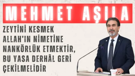 Yeniden Refah Partili Mehmet Aşıla: “Zeytini kesmek Allah’ın nimetine nankörlük etmektir, bu yasa derhâl geri çekilmelidir”