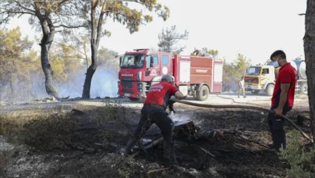 Silifke’deki orman yangınına Büyükşehir müdahalesi: 4 kişi ve 270 hayvan kurtarıldı
